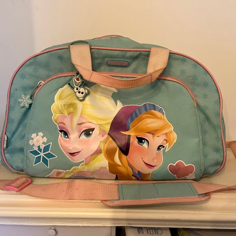 Frozen bag