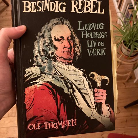 Besindig rebel - Ludvig Holbergs liv og værk