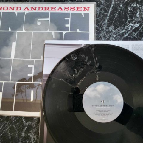 Trond Andreassen - Ingen Ting Hele Tiden