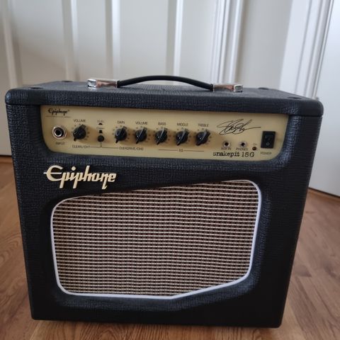 Epiphone Snakepit 15G Gitar Forsterker