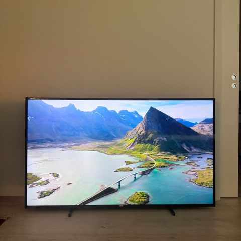 PHILIPS 65" 4K UHD SMART TV SELGES