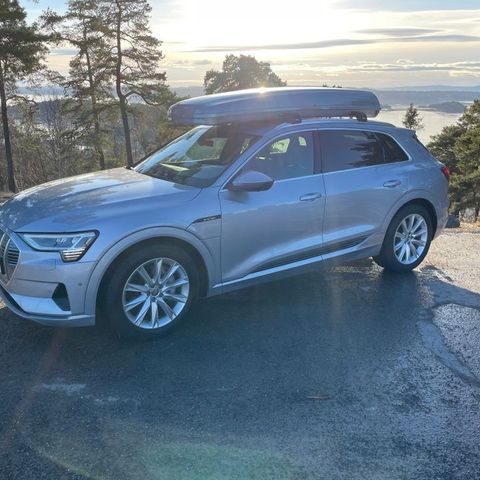 Skiguard 860t tyfongrå inkl wingbar tilpasset audi e-tron