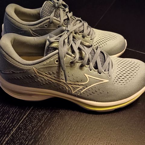 Mizuno wave rider 25