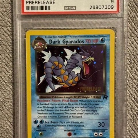 Dark Gyarados Prerelease (9)