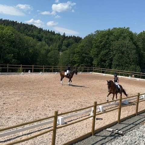 Ledig stallplass med ridehus på Stathelle