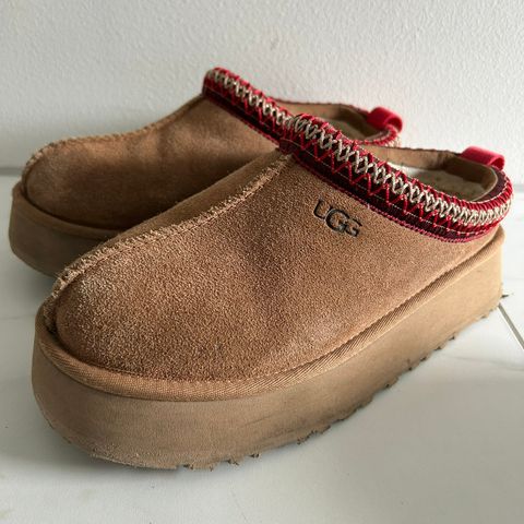 Ugg w tazz - Chestnut 39