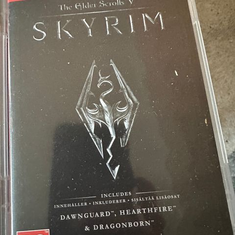 Skyrim nintendo switch