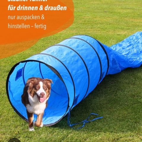 Ubrukt hundetunnell