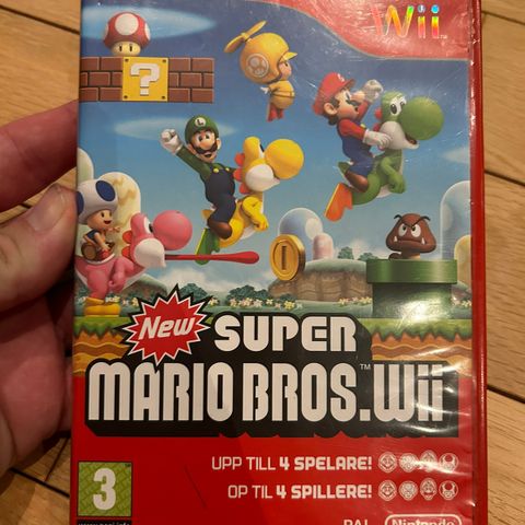 Super Mario Bros Wii