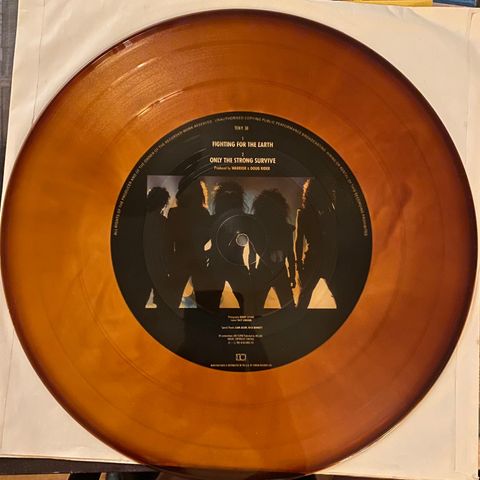 Warrior - Fighting for the earth 12” holografisk singel. LP/Vinyl