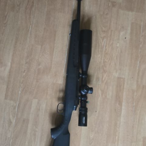 Savage axis 308