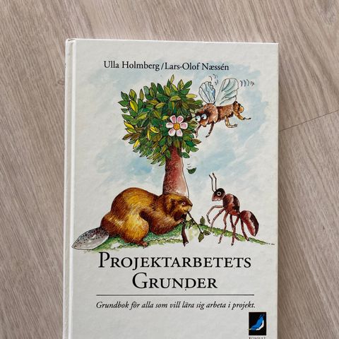 Projektarbetets grunder