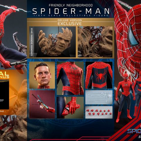 Hot Toys Toby Maguire Spider-Man