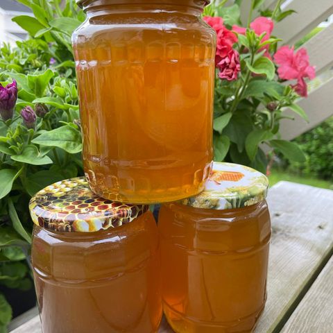 Årets Kaldslyngete Honning – Nylig Høstet! 🍯 10 kg Gratis frakt