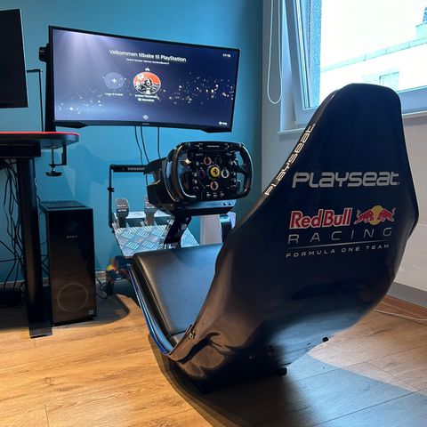 F1 simulator / Simrig / thrustmaster t300rs