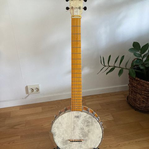 Gretch gitarbanjo