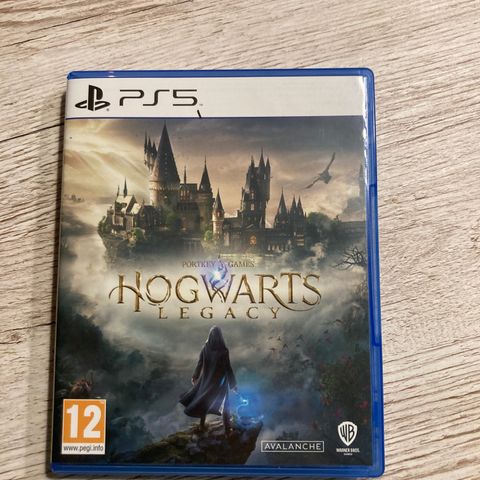 Harry Potter Hogwarts Legacy PlayStation 5