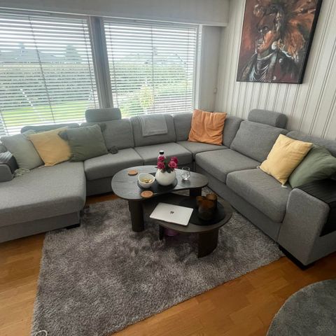 Sofa fra bohus