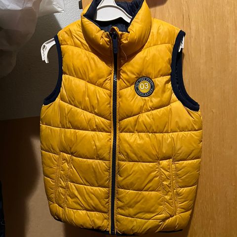 Vinter vest