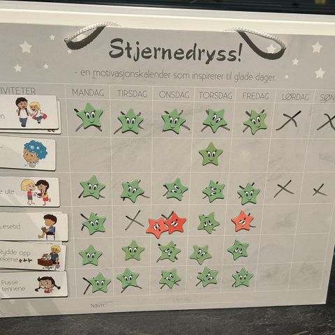 Stjernedryss motivasjonskalender