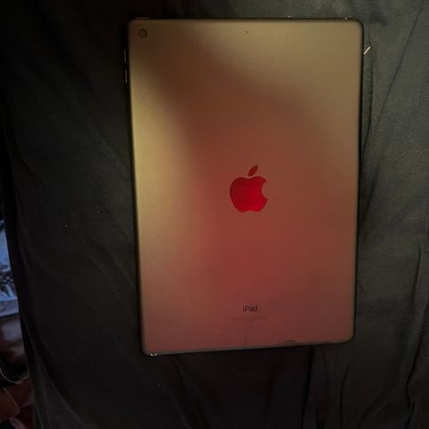 iPad