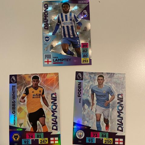 Panini Premier League Diamond fotballkort