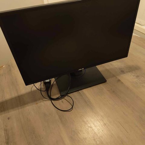 Asus monitor 24