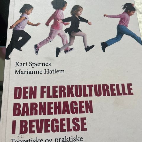 Den Flerkulturelle Barnehagen i Bevegelse