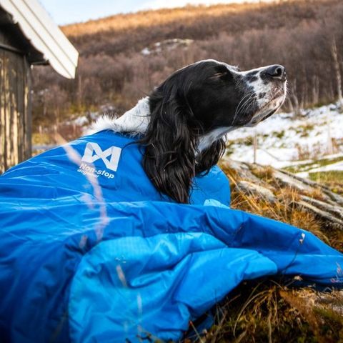 Ubrukt Nonstop Ly sovepose til hund - Large - Hundesovepose