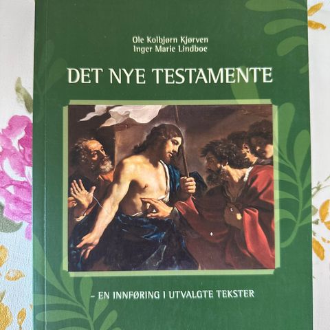 Det nye testamente, en innføring i utvalgte tekster