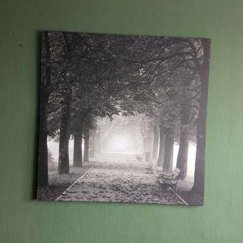 veggbilde wall picture