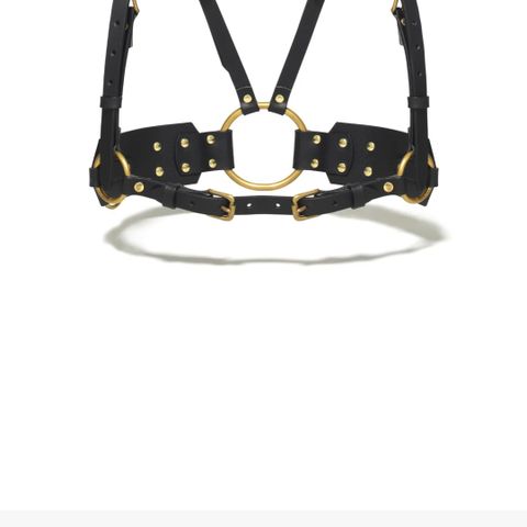 Ardeo studio harness