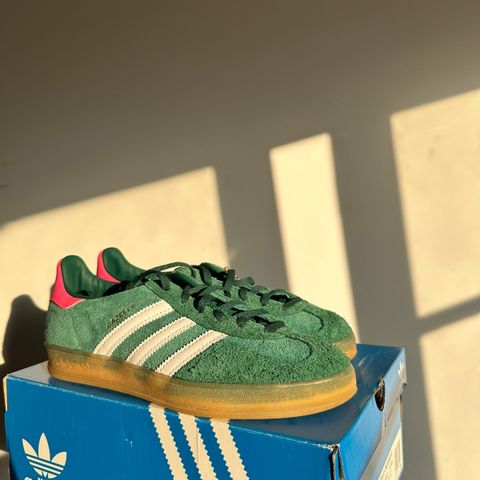 Gazelle Indoor