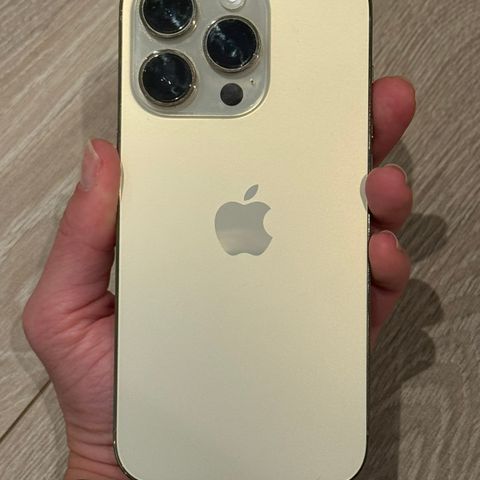 iPhone 14 Pro (gull)