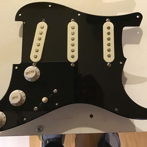 Squier komplett pickguard