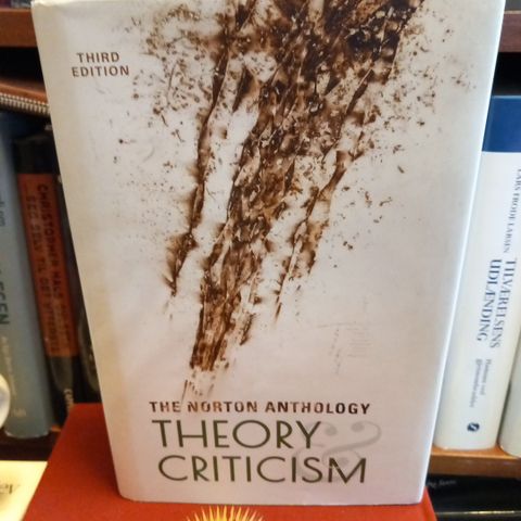 THEORY CRITICISM