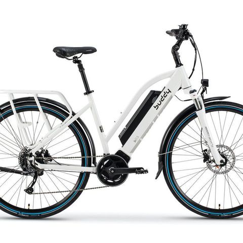 2020 Buddy Bike C5