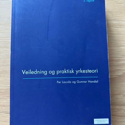 Veiledning og praksis yrkesteori- Lauvås og Handal