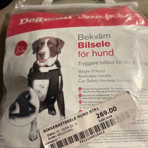 Sikkerhetssele til hund