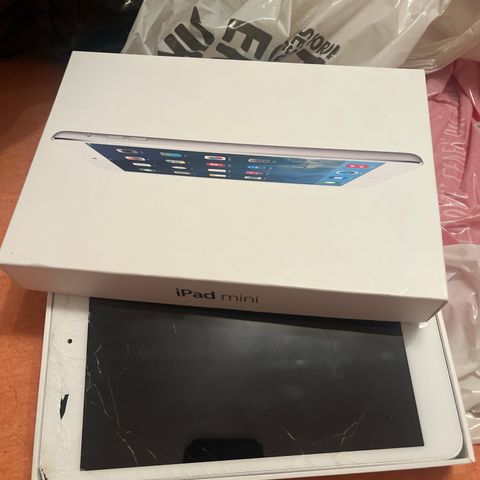 iPad mini