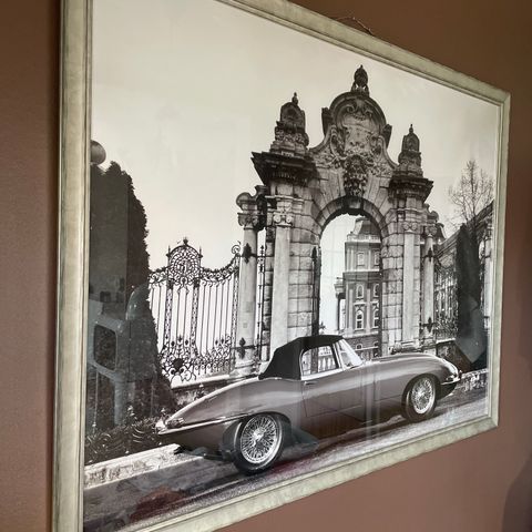 Vintage Jaguar bilde 98x128cm