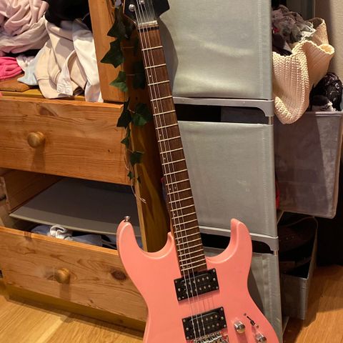 Washburn elektrisk gitar ROSA!!