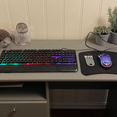 Gaming tastatur og mus