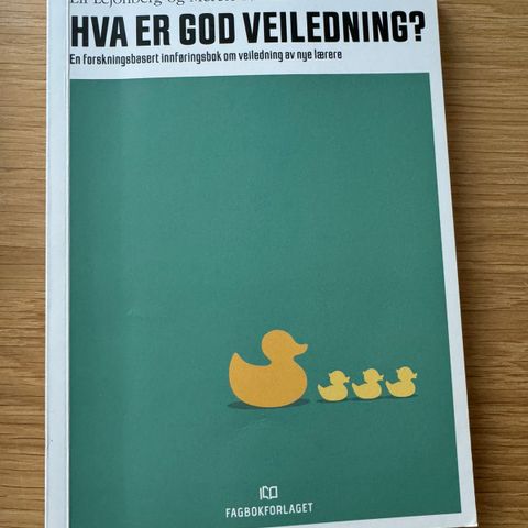 Hva er god veiledning? Lejonberg og Føinum