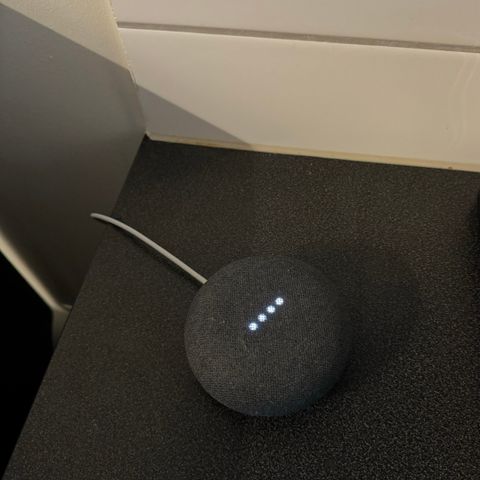 Google home mini