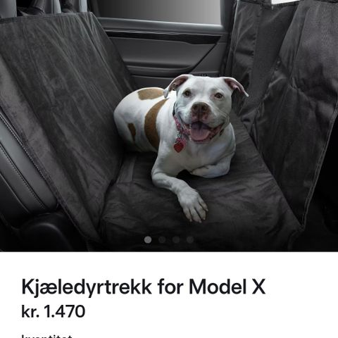 Uåpnet kjæledyrtrekk for Tesla Model-X