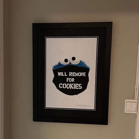 SIRI RØISETHS ACCEPT ALL COOKIES ORIGINAL