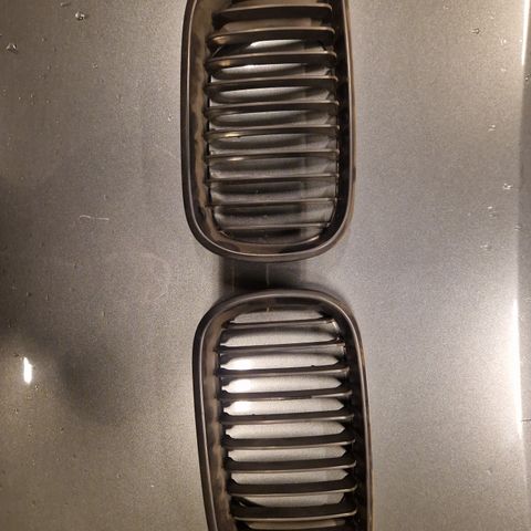 Bmw e46 grill