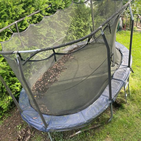 Jumping oval trampoline