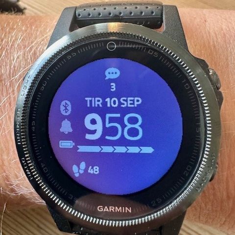 Garmin Fenix 5S Sapphire Crystal